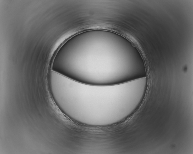 X0000116801138200912181112