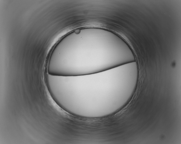 X0000116801139200912181112