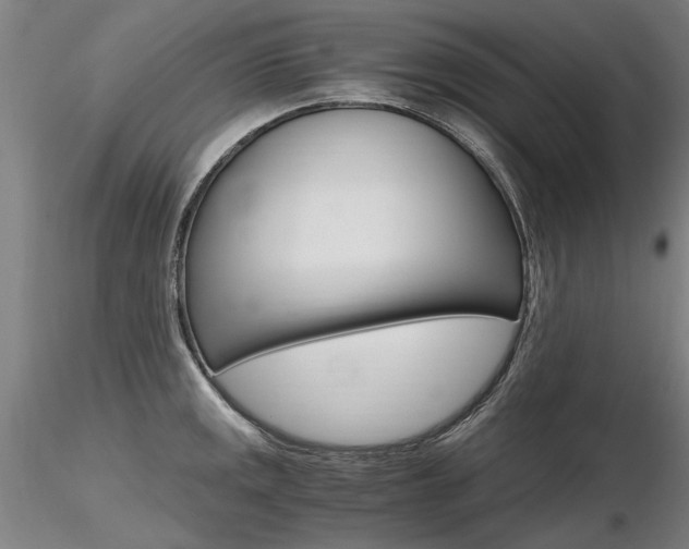 X0000116801141200912181112