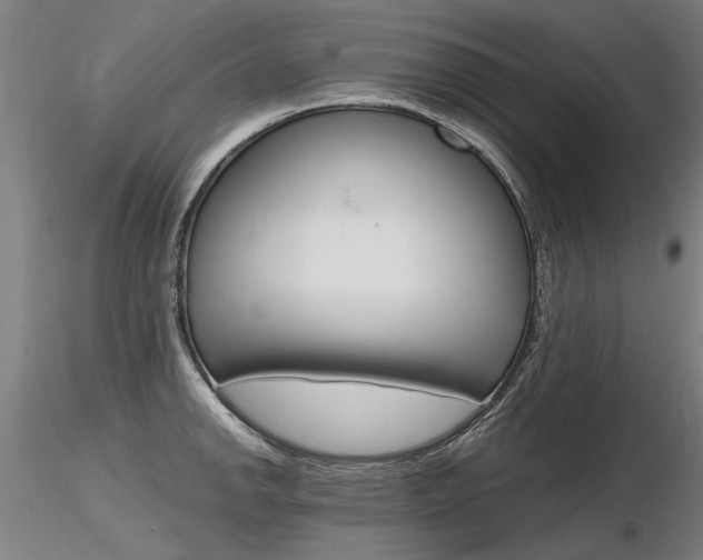 X0000116801142200912181112