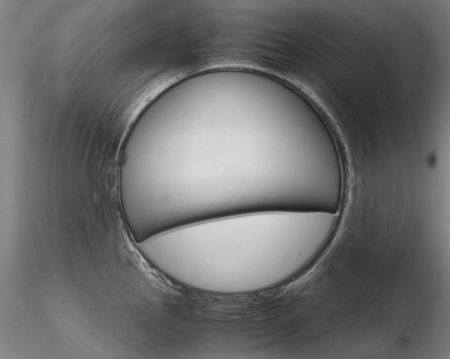 X0000116801145200912181112