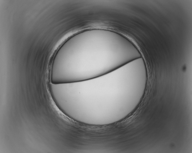 X0000116801147200912181112