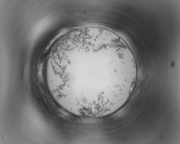 X0000116801150200912181112