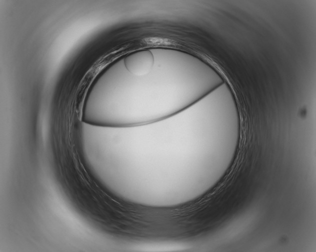 X0000116801151200912181112