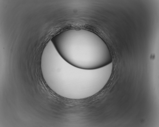 X0000116801153200912181111