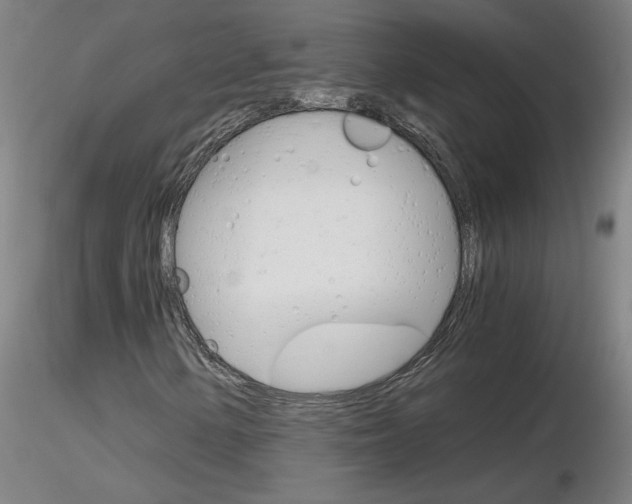 X0000116801154200912181111