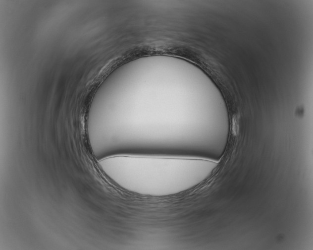 X0000116801155200912181111