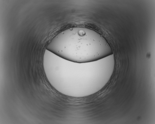 X0000116801156200912181111
