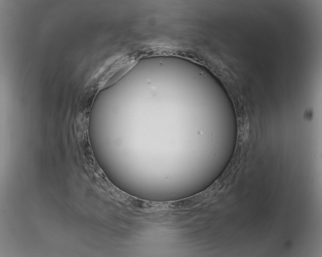X0000116801157200912181111