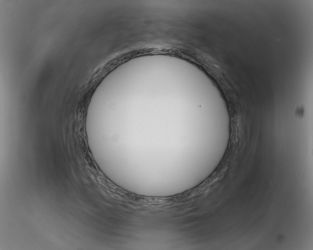 X0000116801158200912181111