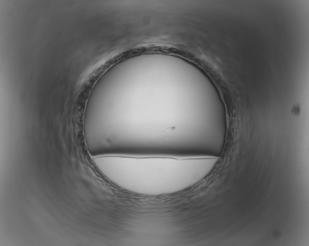 X0000116801159200912181111