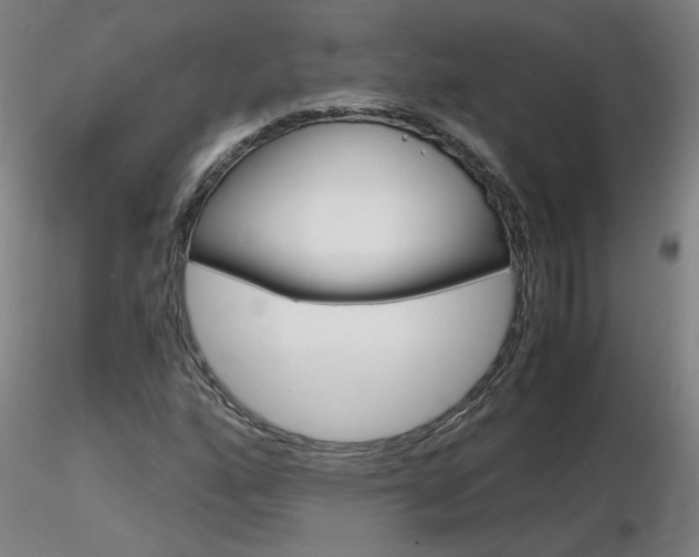X0000116801160200912181111