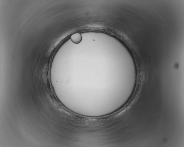 X0000116801162200912181111