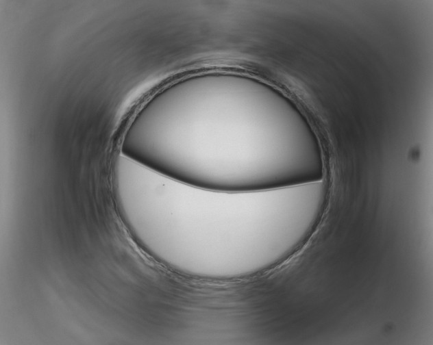 X0000116801164200912181111