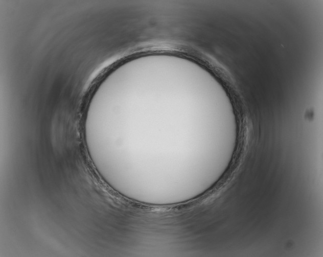 X0000116801166200912181111