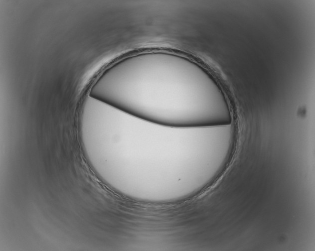 X0000116801167200912181111