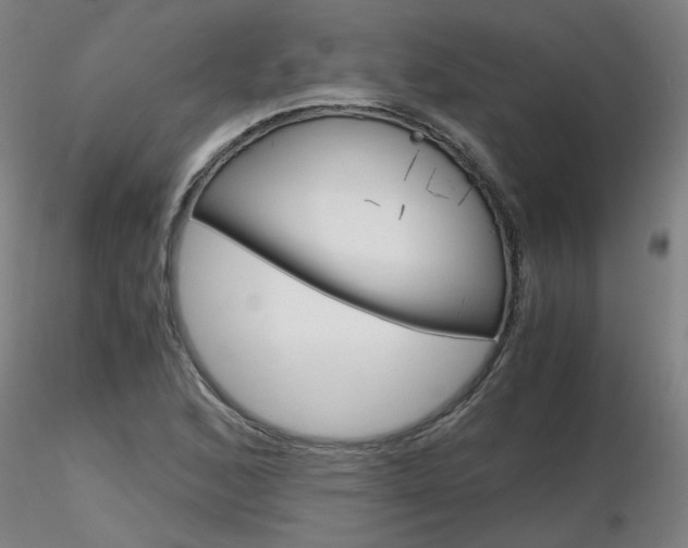 X0000116801168200912181111