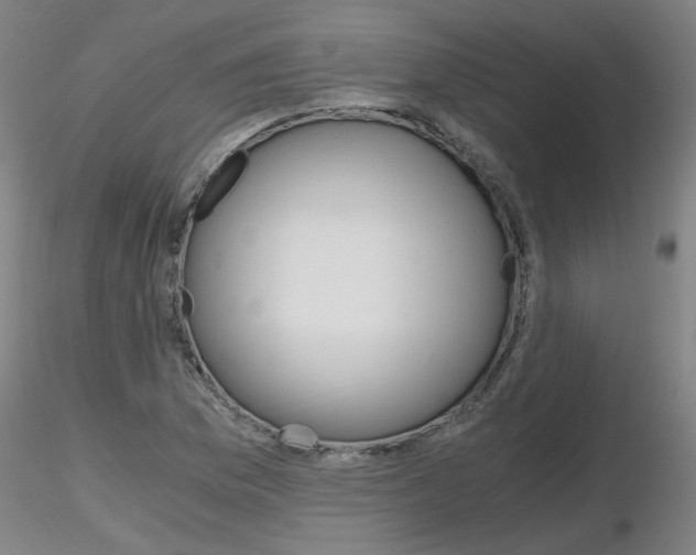 X0000116801169200912181111