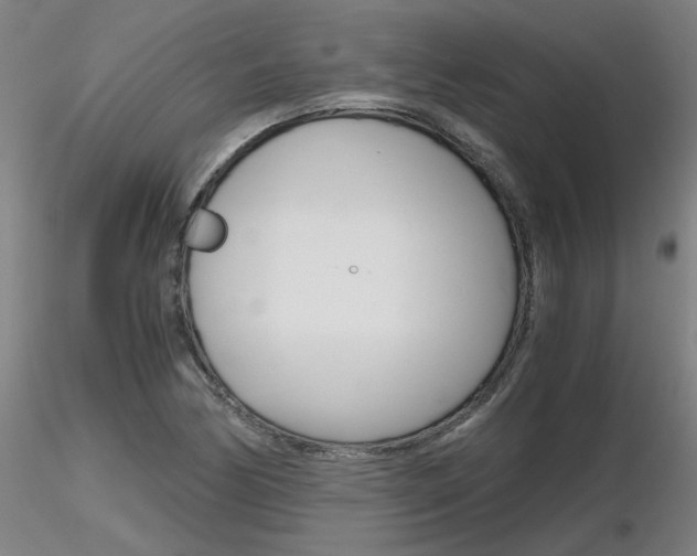 X0000116801170200912181111