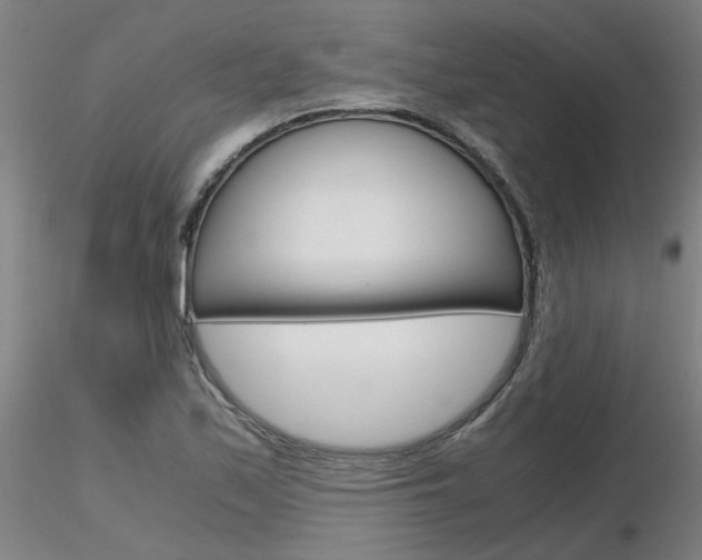 X0000116801171200912181111