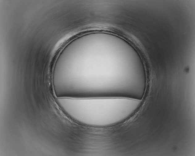 X0000116801172200912181111