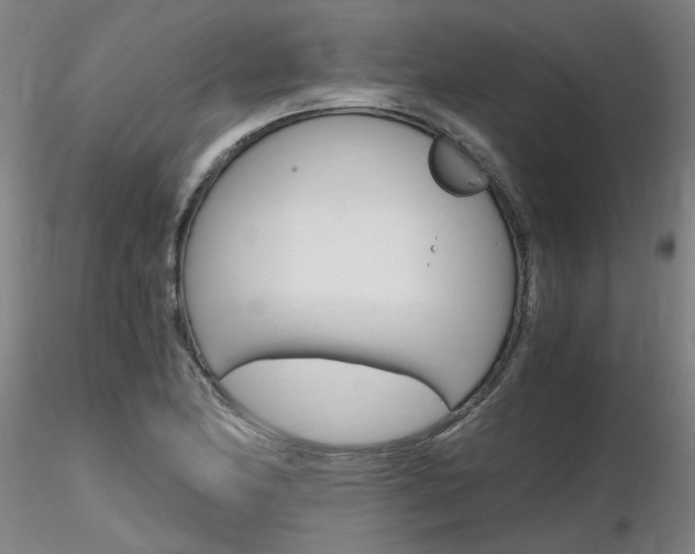 X0000116801174200912181111
