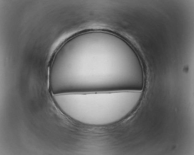 X0000116801175200912181111