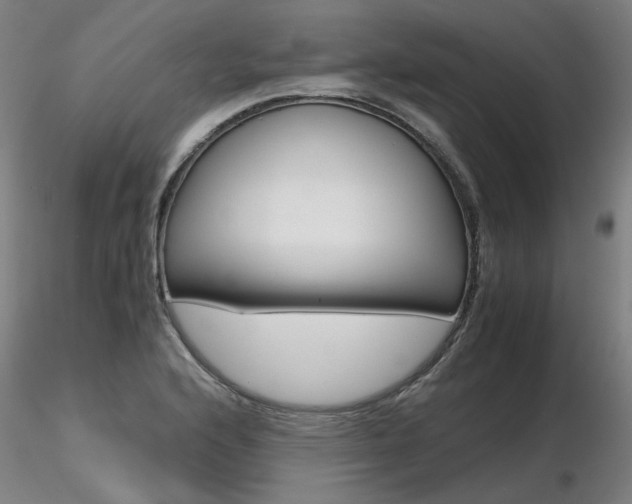 X0000116801176200912181111