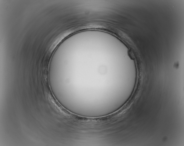 X0000116801177200912181111
