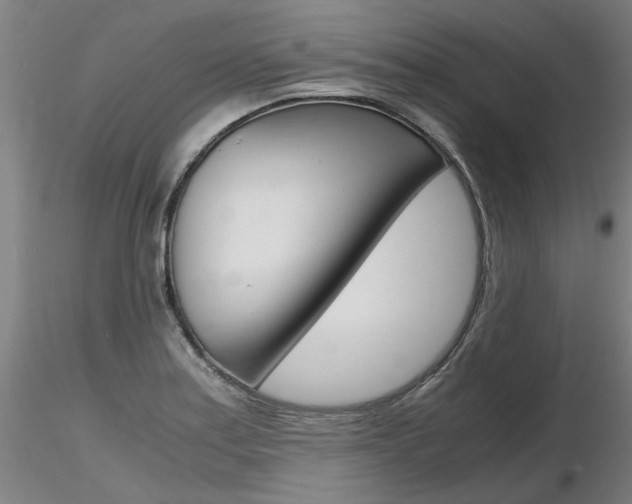 X0000116801179200912181111