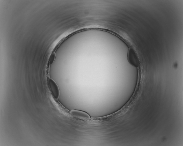 X0000116801181200912181111