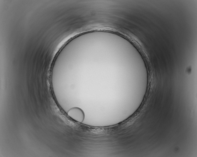 X0000116801182200912181111