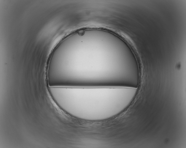 X0000116801183200912181111
