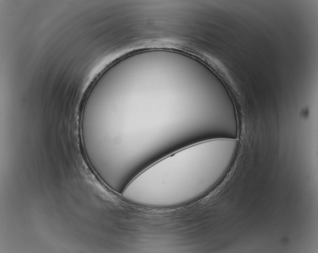X0000116801184200912181111