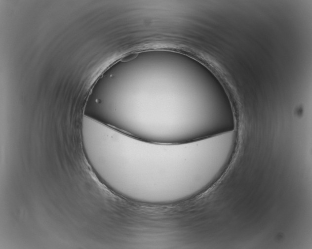 X0000116801185200912181111