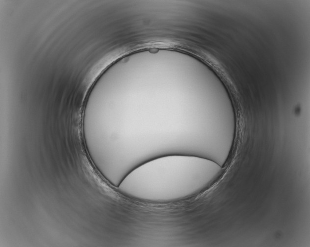 X0000116801186200912181111