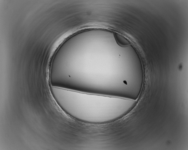 X0000116801188200912181111