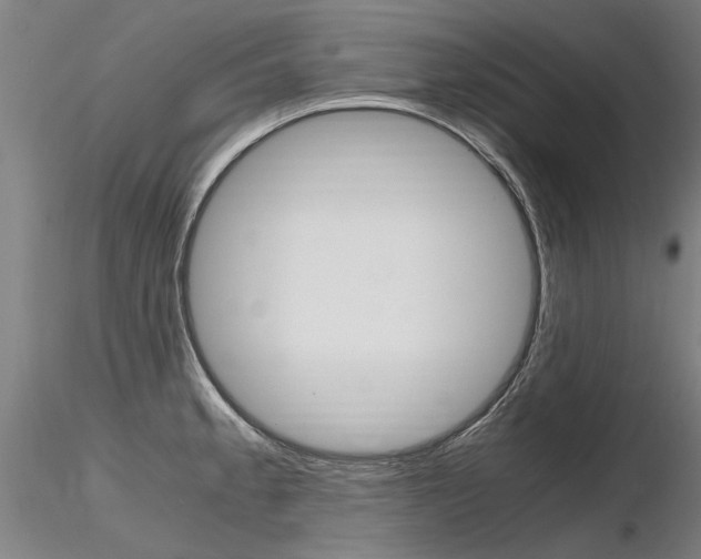 X0000116801189200912181111
