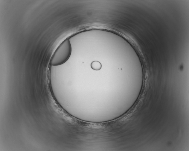 X0000116801190200912181111