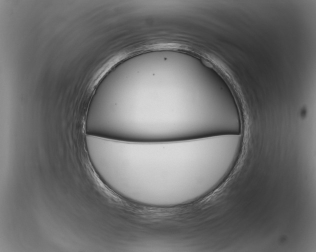 X0000116801193200912181111