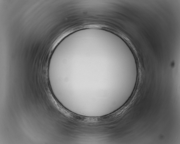 X0000116801194200912181111