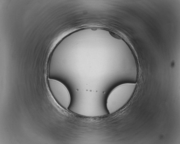 X0000116801195200912181111