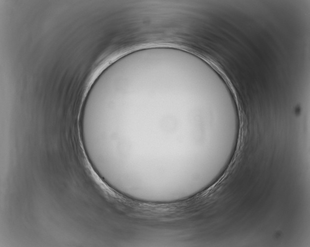 X0000116801197200912181111