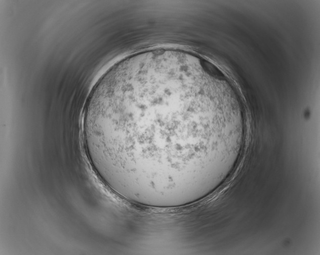 X0000116801198200912181111