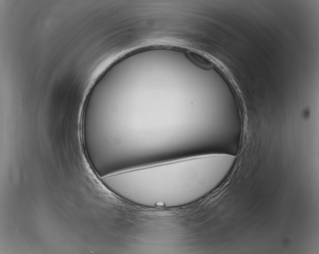 X0000116801199200912181111