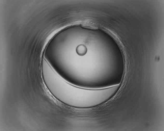 X0000116801200200912181111