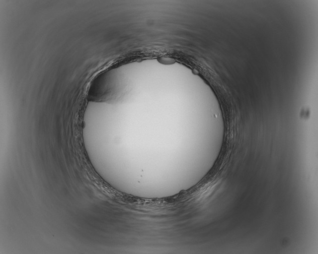 X0000116801201200912181110