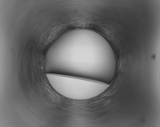 X0000116801202200912181110