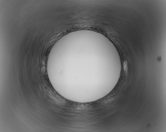 X0000116801203200912181110