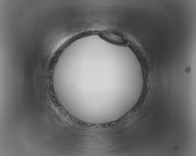 X0000116801208200912181110